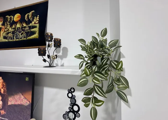 Apartman Turtles Al-ahyaa *