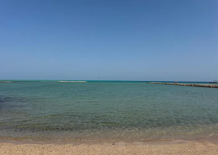 Turtles Al-ahyaa * Gurdaka